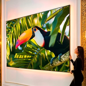 Quadro Tucano visto de frente, exibindo sua moldura e sua arte.