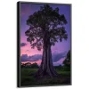 Quadro Árvore dos Sonhos ao Entardecer Místico